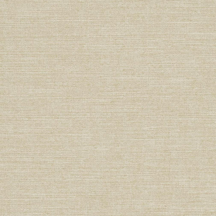 R285 Sand by Charlotte Designer Fabric Ringbook Page #14b 100% Woven Polyester Asia Exceeds 120,000 Wyzenbeek Rubs (Heavy Duty) No Repeat 54 Inches - Swanky Fabrics -