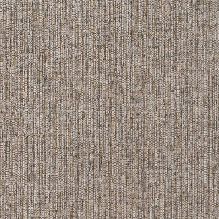 R351 Sage by Charlotte Designer Fabric Ringpage 10b 100% Woven Polypropylene USA Exceeds 30,000 Wyzenbeek Rubs (Heavy Duty) No Repeat 54 Inches - Swanky Fabrics -