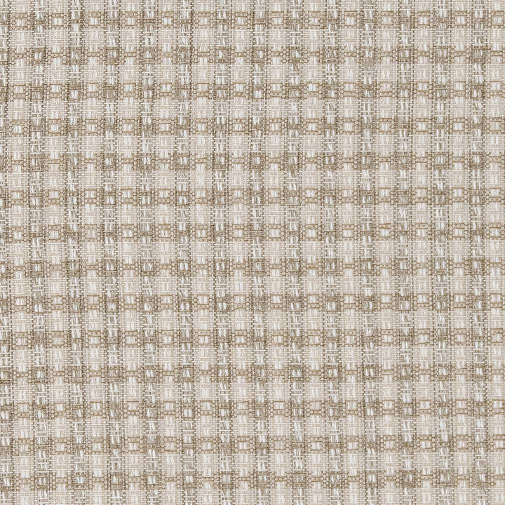 R432 Oyster by Charlotte Designer Fabric Ring Book Page #6B 100% Polypropylene Made In USA Exceeds 60,000 Wyzenbeek Rubs (Heavy Duty) </p><p>Repeat: 54 Inches - Swanky Fabrics -