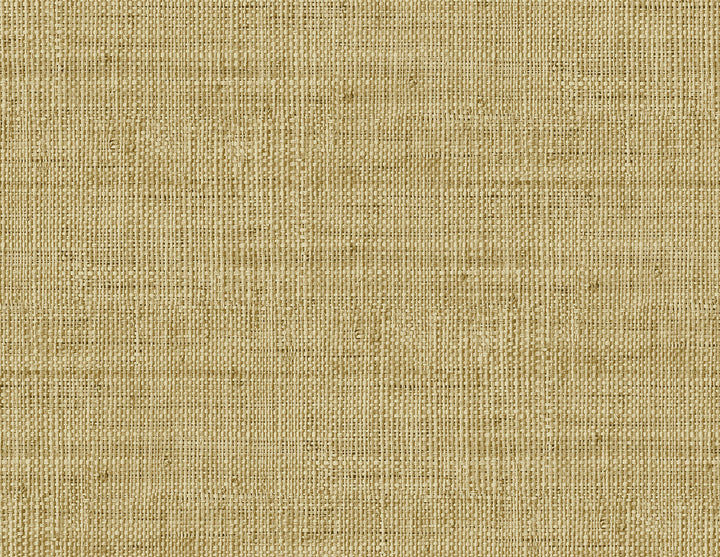 Wild Bind Wheat RA40315 by Seabrook Designs Designer Wallpaper