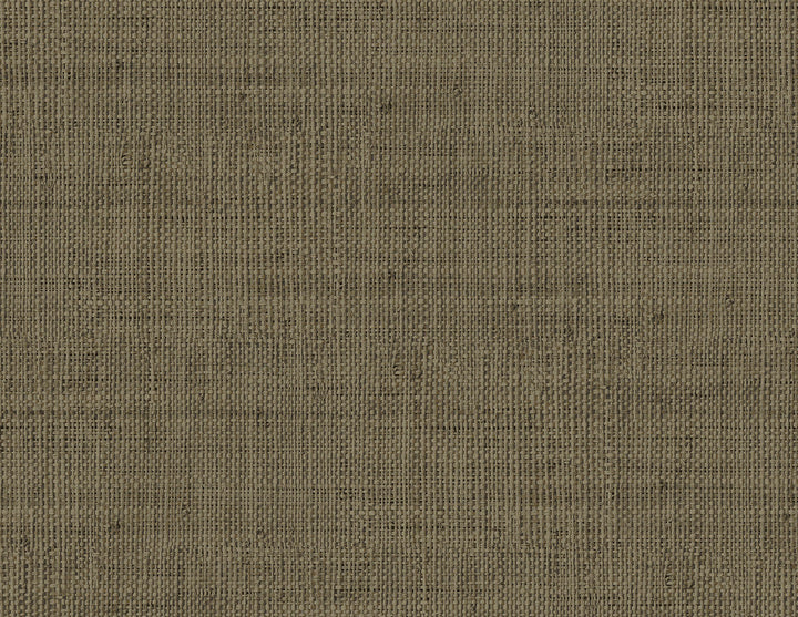 Wild Bind Coffee RA40316 by Seabrook Designs Designer Wallpaper