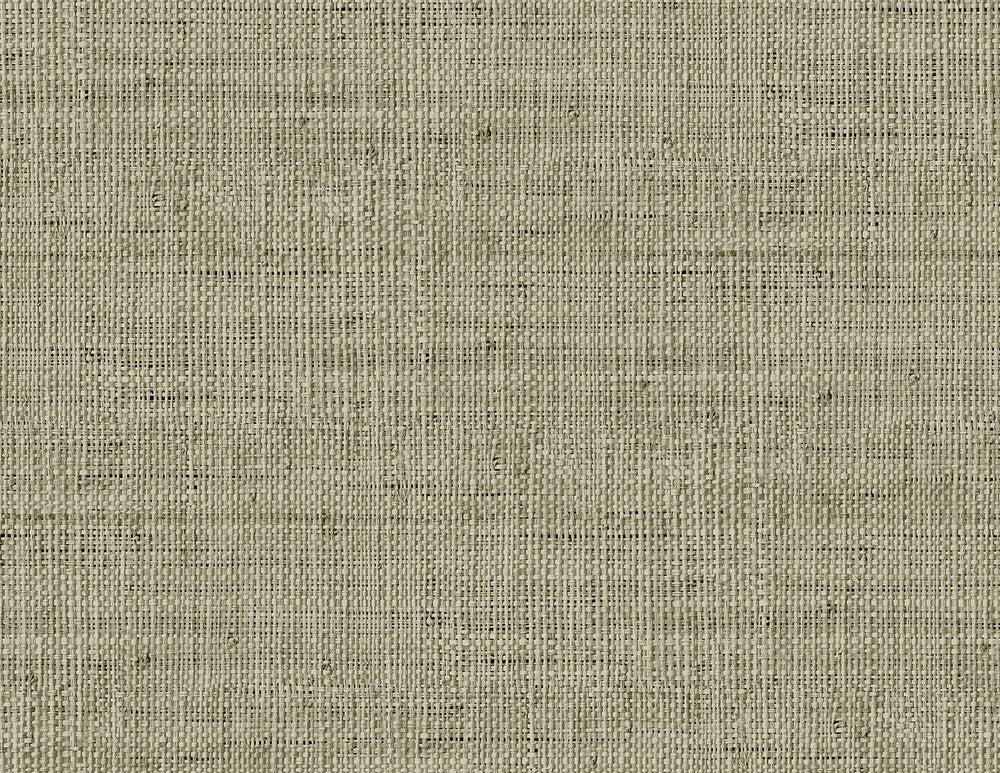 Wild Bind Taupe RA40317 by Seabrook Designs Designer Wallpaper