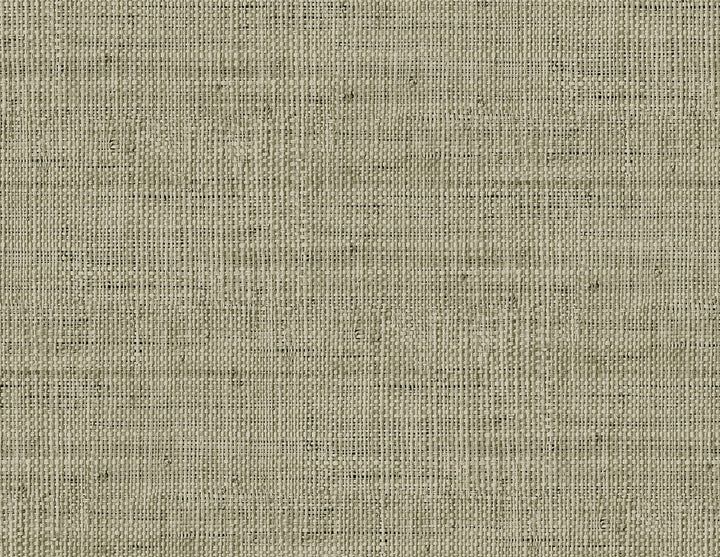 Wild Bind Taupe RA40317 by Seabrook Designs Designer Wallpaper