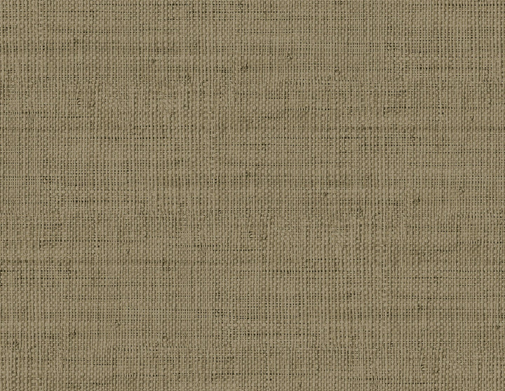 Wild Bind Cafe Latte RA40350 by Seabrook Designs Designer Wallpaper