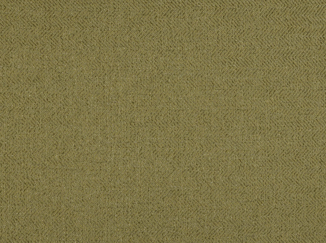 Racer 250 Venetian Green by Covington Designer Fabric