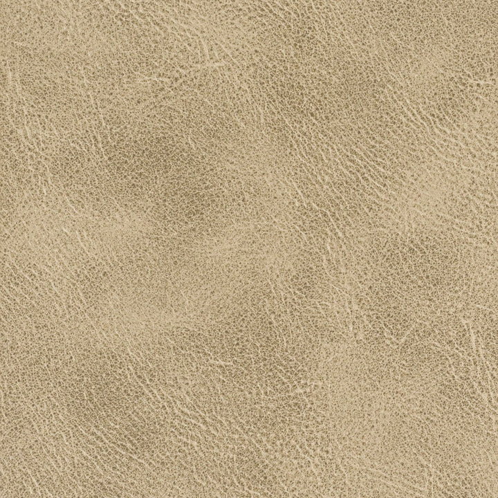 Radnor 1 Toffee by Stout Designer Fabric LEATHER LOOKS IV 100%POL CHINA FLAME RETARDANT-U.F.A.C. CLASS 1 CATB 117-2013 WYZENBEEK 48 000 DOUBLE RUB WEAR TEST (HEAVY DUTY) Horizontal: 0.000 and Vertical: 0.000 54 in - Swanky Fabrics -