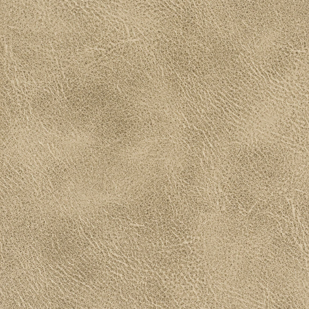 Radnor 1 Toffee by Stout Designer Fabric LEATHER LOOKS IV 100%POL CHINA PERFORMANCE RATED FABRIC FLAME RETARDANT-U.F.A.C. CLASS 1 FLAME RETARDANT-N.F.P.A. 260A CLASS 1 CATB 117-2013 WYZENBEEK 100 000 DOUBLE RUB WEAR TEST (HEAVY DUTY) Horizontal: 0 and Vertical: 0 54 in - Swanky Fabrics -