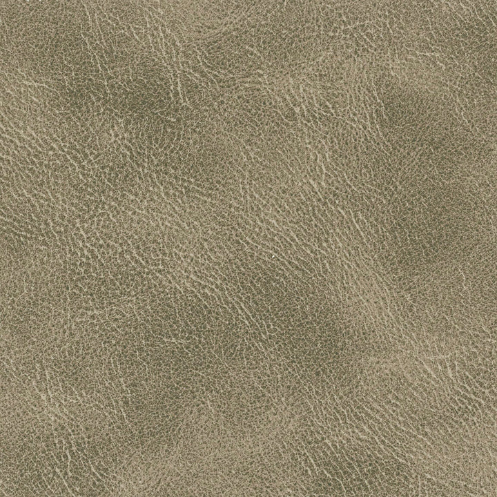 Radnor 3 Flint by Stout Fabric Stout Fabric Radnor 3 FlintFabric LEATHER LOOKS IV CHINA </p><p>Repeat: H: 0.000, V: 0.000 54 in - Fabric Carolina -
