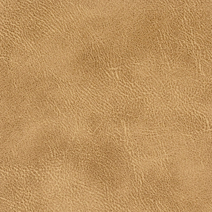 Radnor 4 Acorn by Stout Designer Fabric LEATHER LOOKS IV 100%POL CHINA PERFORMANCE RATED FABRIC FLAME RETARDANT-U.F.A.C. CLASS 1 FLAME RETARDANT-N.F.P.A. 260A CLASS 1 CATB 117-2013 WYZENBEEK 100 000 DOUBLE RUB WEAR TEST (HEAVY DUTY) Horizontal: 0 and Vertical: 0 54 in - Swanky Fabrics -