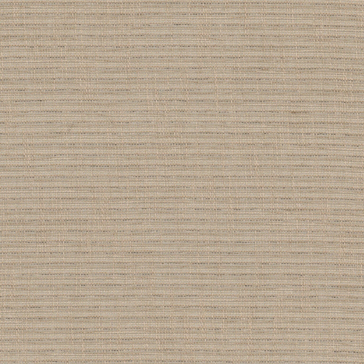 Ralphie 1 Driftwood by Stout Fabric Stout Fabric Ralphie 1 DriftwoodFabric COLOR MY WINDOW PEWTER/TAUPE 100%POL TURKEY </p><p>Repeat: H: 0.000, V: 0.000 54 in - Fabric Carolina -