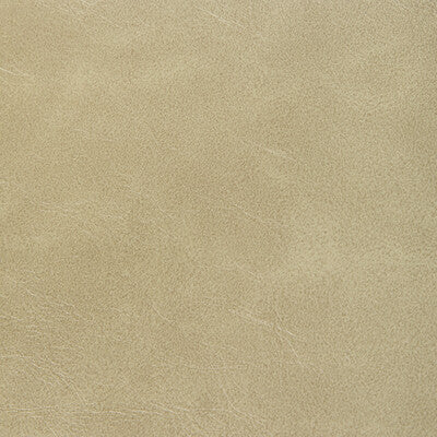 Kravet Contract - Upholstery - RAMBLER.16.0 - Upholstery - PVC - ARTIFICIAL LEATHER - 100% - China </p><p>Repeat: H: , V: 27.5 21 - My Fabric Connection -