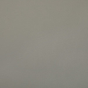 Kravet Fabric Rand Porcini RAND.11.0