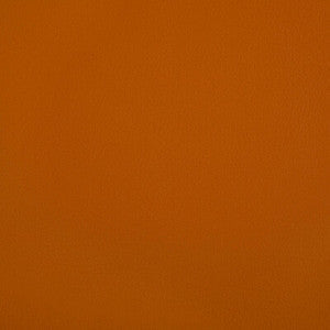 Kravet Fabric Rand Squash RAND.12.0