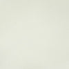 Kravet Fabric Rand Gesso RAND.1.0