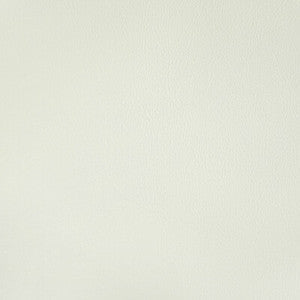 Kravet Fabric Rand Gesso RAND.1.0