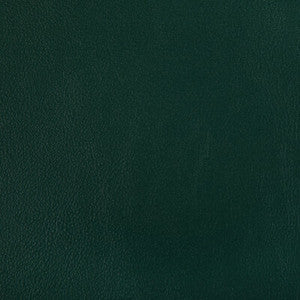 Kravet Fabric Rand Forest RAND.3.0