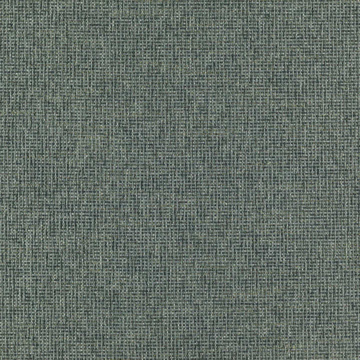 RANGER 66J7351 by JF Designer Fabric Winning Weaves VI - Woven Book 90% Polyester, 10% Viscose India  Horizontal:  and Vertical:  57  - Swanky Fabrics -