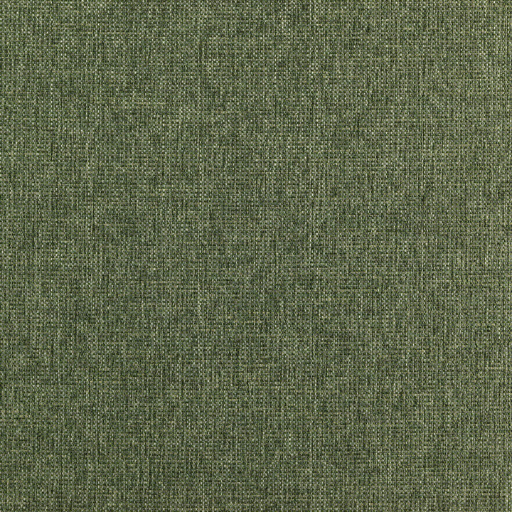 Ranger 78J7351 by JF Designer Fabric Winning Weaves VI - Woven Book 90% Polyester, 10% Viscose India 45000 Horizontal: and Vertical: 57 - Swanky Fabrics -