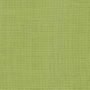 Rave Leaf by Norbar Designer Fabric OKIN 100% POLYESTER INDIA 54 - Swanky Fabrics -