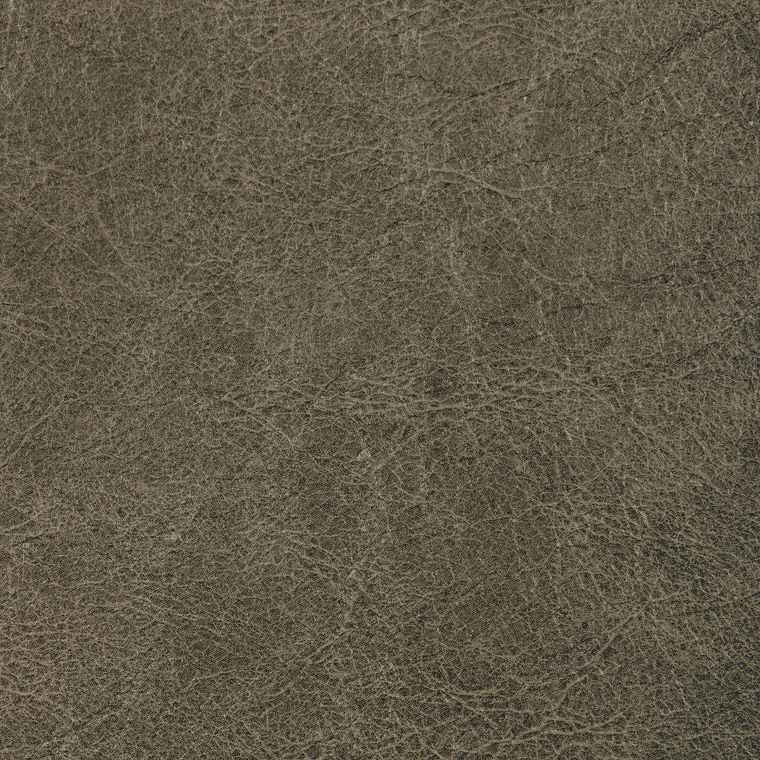 Kravet Contract Fabric Reboot - Iron