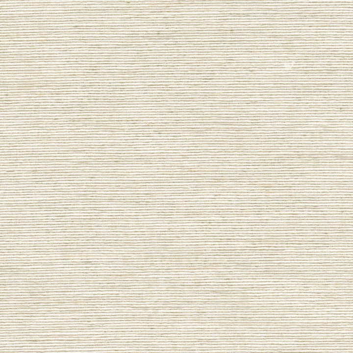 Reckless 3 Birch by Stout Designer Fabric COLOR MY WINDOW SANDALWOOD 73%SVI 27%POL INDIA WYZENBEEK 50 000 DOUBLE RUB WEAR TEST (HEAVY DUTY) Horizontal: 0.000 and Vertical: 0.000 54 in - Swanky Fabrics -