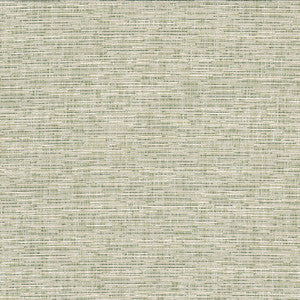 Crypton Fabric Record 1 Grass