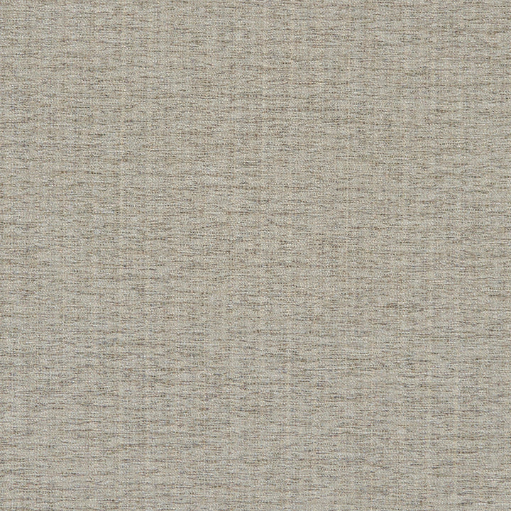 Recreation 94J8391 by JF Designer Fabric Color Concepts Driftwood Inside Out 61% Olefin, 39% Polyester United States 60000 Horizontal: and Vertical: 54 - Swanky Fabrics -