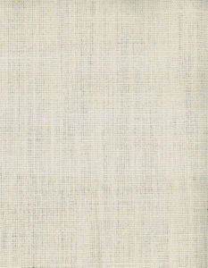 Relay Canvas 046 by Norbar Designer Fabric 100% LINEN BRAZIL 54 - Swanky Fabrics -
