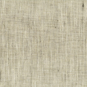 Stout Fabric Rembrandt 1 Nickel