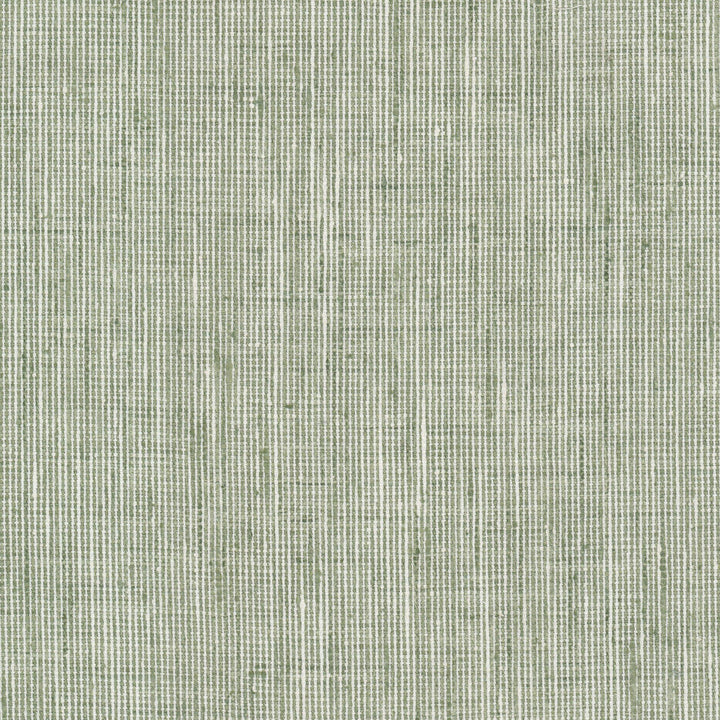 Rembrandt 6 Sage by Stout Designer Fabric RAINBOW LIBRARY SAGE/CYPRESS 100%POL INDIA Horizontal: 0.000 and Vertical: 0.000 54 in - Swanky Fabrics -