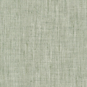 Stout Fabric Rembrandt 6 Sage