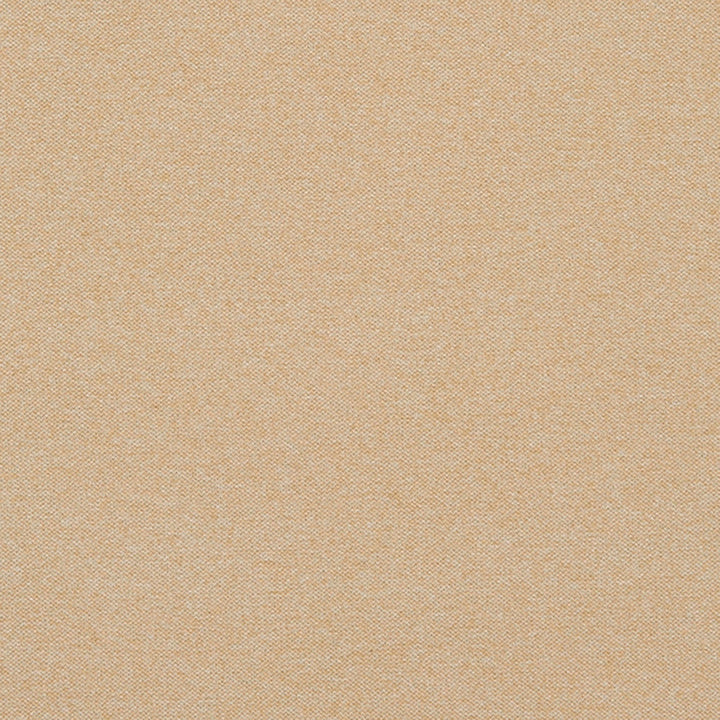 Remington 11J7031 by JF Crypton Designer Fabric Crypton Binder 100% Polyester Taiwan 50000 Horizontal: and Vertical: 54 - Swanky Fabrics -