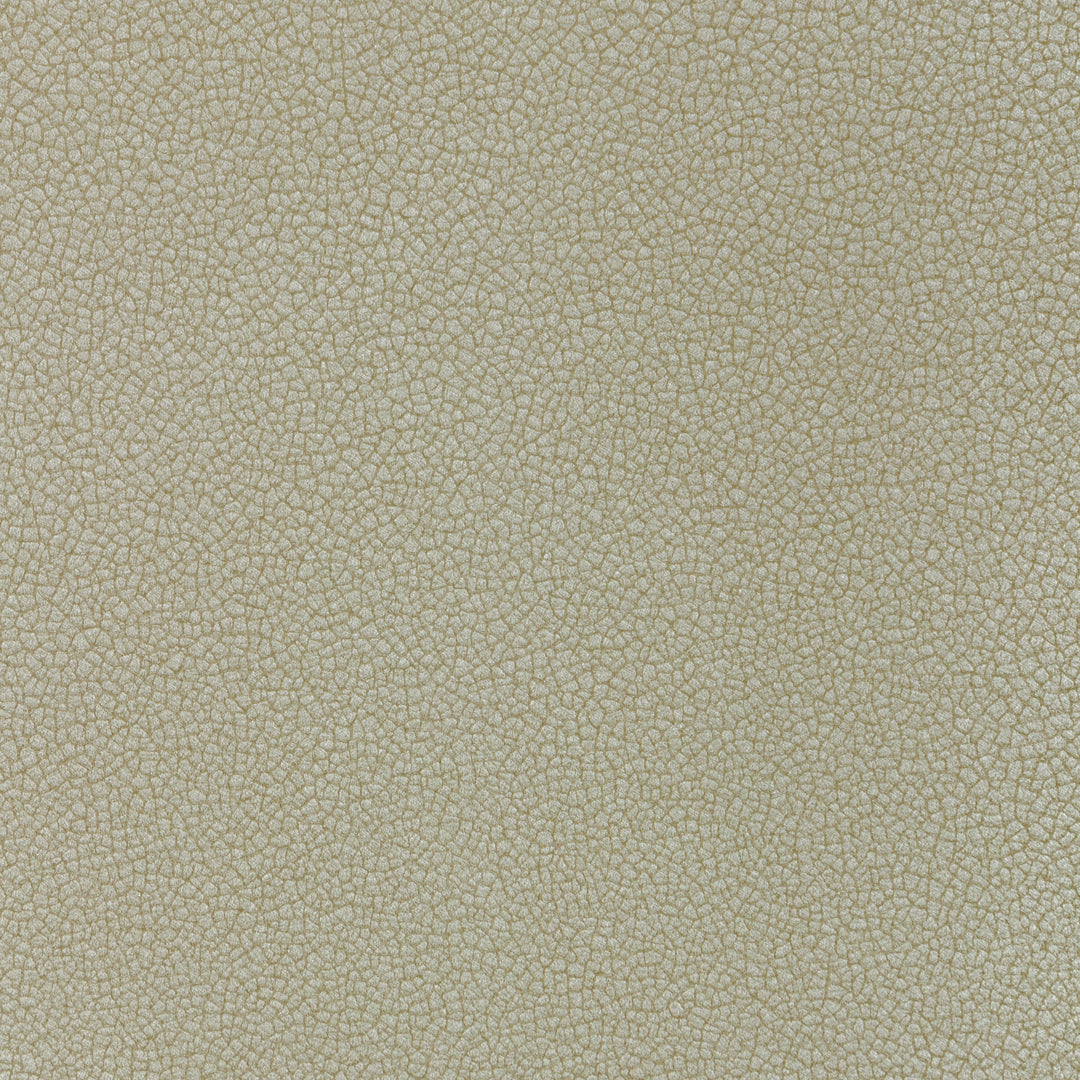 Kravet Contract Fabric Reset - Cascade