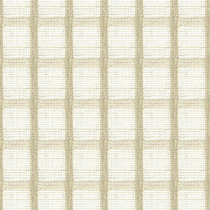 Reva 1 Beige by Stout Fabric Stout Fabric Reva 1 BeigeFabric RAINBOW LIBRARY OATMEAL/STRAW 100%POL INDIA </p><p>Repeat: H: 2.000, V: 2.000 54 in - Fabric Carolina -