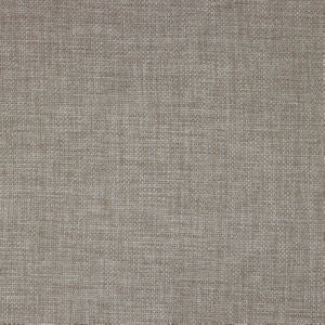 Norbar Fabric Rex Fossil