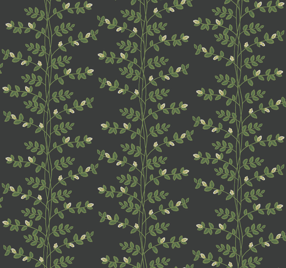 Climbing Vine Black Wallpaper by Rifle Paper Co. Designer Rifle Paper Co. 3rd Edition Covers about 60.8 square feet 27-in by 27-ft long roll Unpasted 25.25 - Swanky Fabrics -