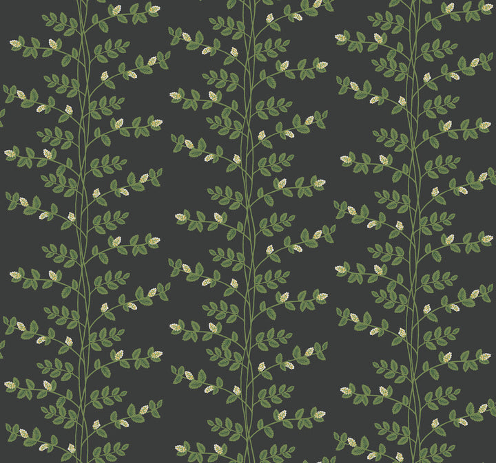 Climbing Vine Black Wallpaper by Rifle Paper Co. Designer Rifle Paper Co. 3rd Edition Covers about 60.8 square feet 27-in by 27-ft long roll Unpasted 25.25 - Swanky Fabrics -