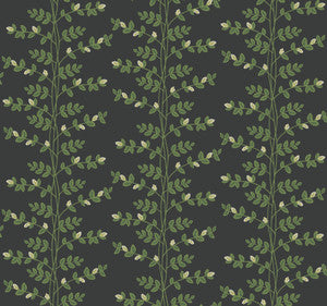 Rifle Paper Co. Wallpaper Climbing Vine Black