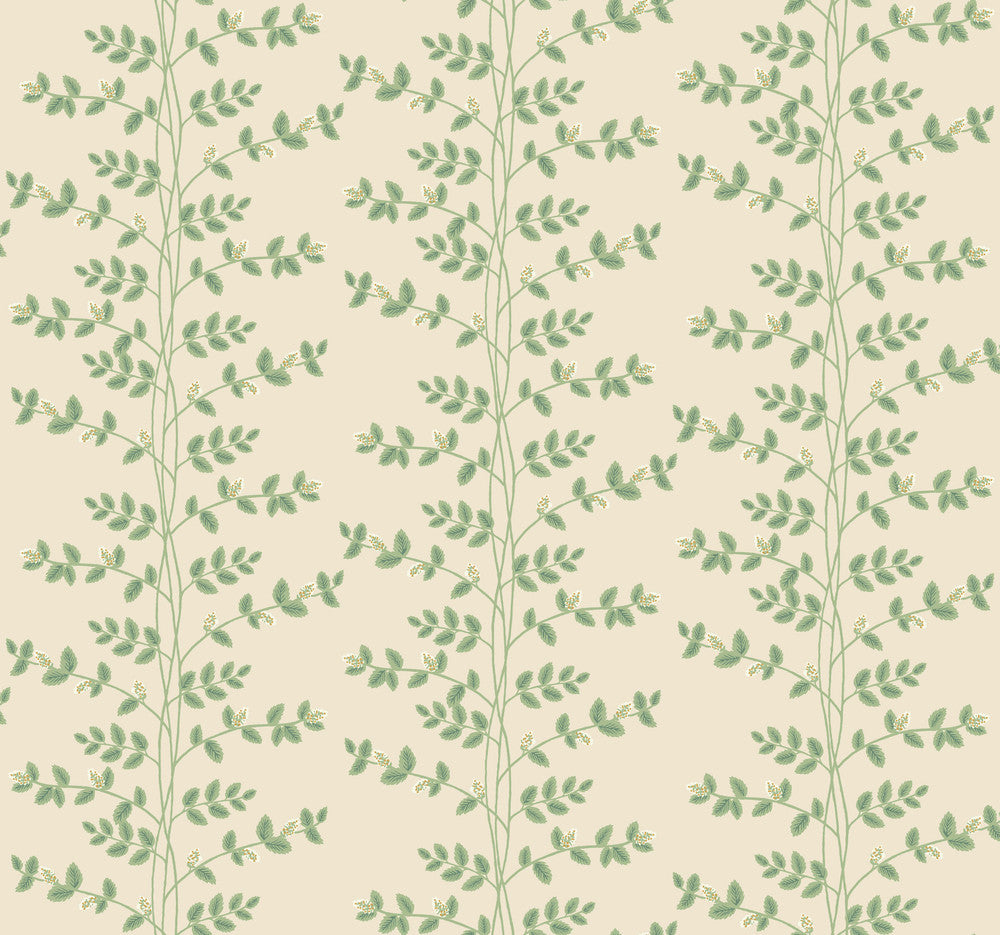 Climbing Vine Linen Wallpaper by Rifle Paper Co. Designer Rifle Paper Co. 3rd Edition Covers about 60.8 square feet 27-in by 27-ft long roll Unpasted 25.25 - Swanky Fabrics -