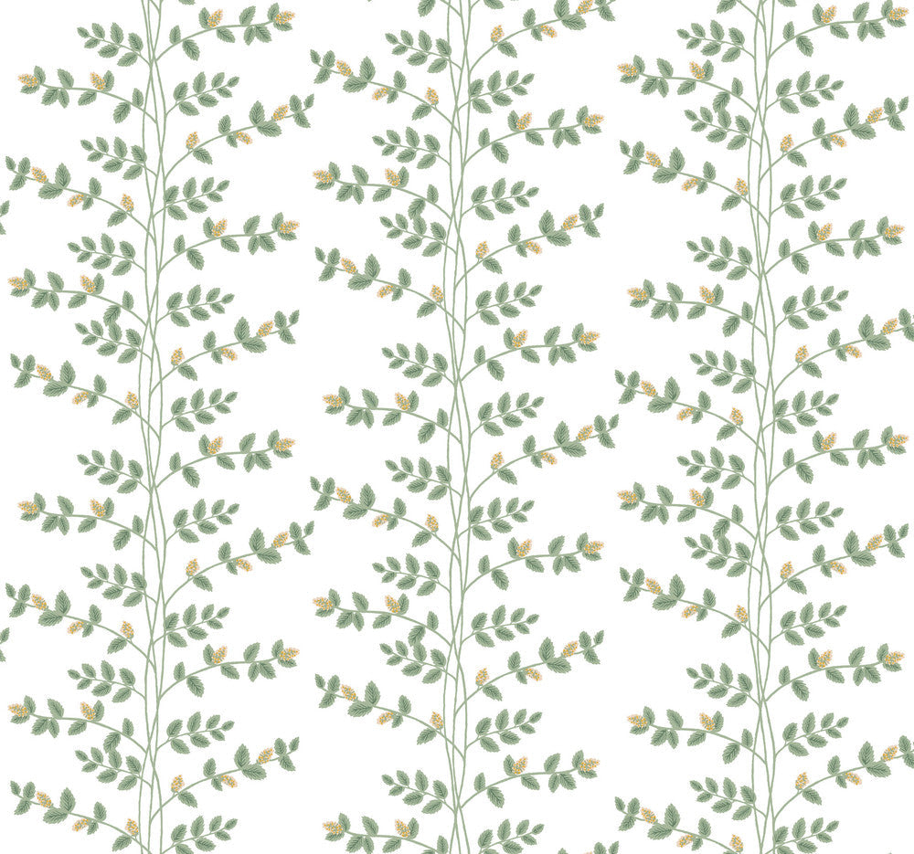 Climbing Vine Gold Wallpaper by Rifle Paper Co. Designer Rifle Paper Co. 3rd Edition Covers about 60.8 square feet 27-in by 27-ft long roll Unpasted 25.25 - Swanky Fabrics -