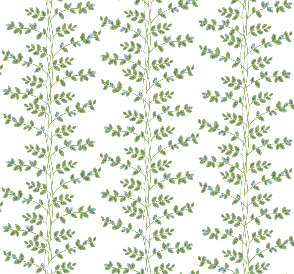 Climbing Vine Blue Wallpaper by Rifle Paper Co. Designer Rifle Paper Co. 3rd Edition Covers about 60.8 square feet 27-in by 27-ft long roll Unpasted 25.25 - Swanky Fabrics -