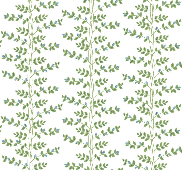 Climbing Vine Blue Wallpaper by Rifle Paper Co. Designer Rifle Paper Co. 3rd Edition Covers about 60.8 square feet 27-in by 27-ft long roll Unpasted 25.25 - Swanky Fabrics -