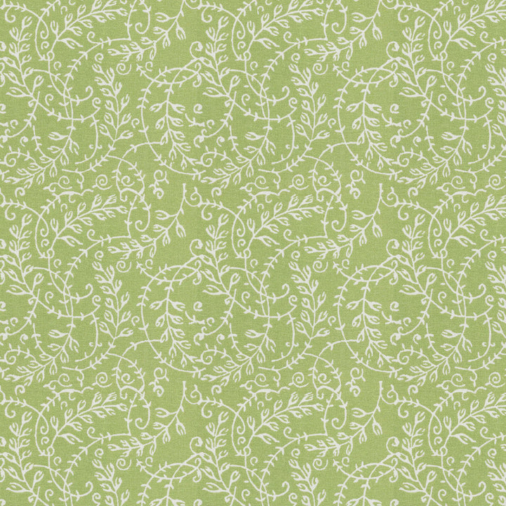 Rhumba 1 Seedling by Aoc Designer Fabric THE ART OF COLOR DOWN THE LANE 100%COT INDIA Horizontal: 6.500 and Vertical: 6.500 56 in - Swanky Fabrics -