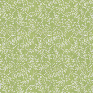 Aoc Fabric Rhumba 1 Seedling