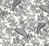 Rifle Paper Co. Wallpaper Canopy Black & White