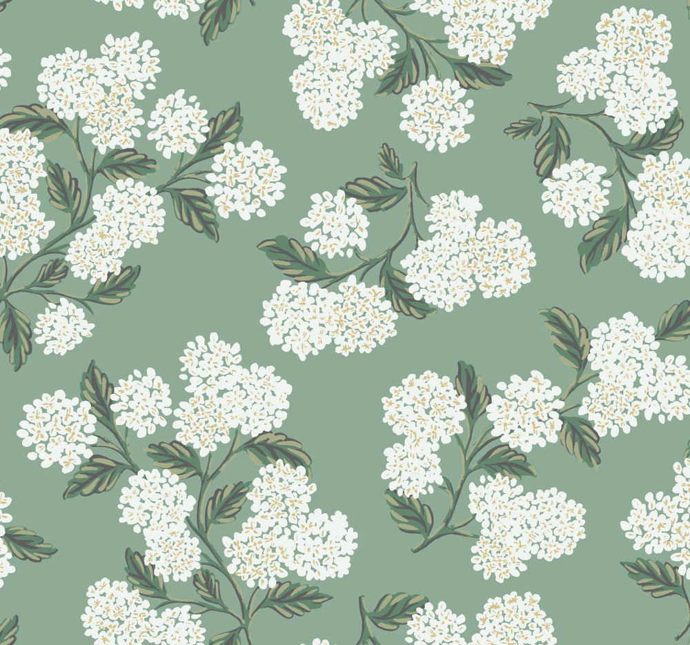 Hydrangea Jade Wallpaper by Rifle Paper Co. Designer Rifle Paper Co. Covers about 60.8 square feet 27-in by 27-ft long roll Unpasted 25.25 - Swanky Fabrics -