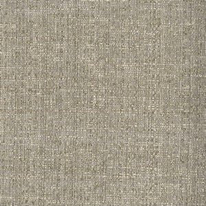 Riddle Coin by Norbar Designer Fabric RIDDLE 66% COTTON 34% POLYESTER 54 - Swanky Fabrics -