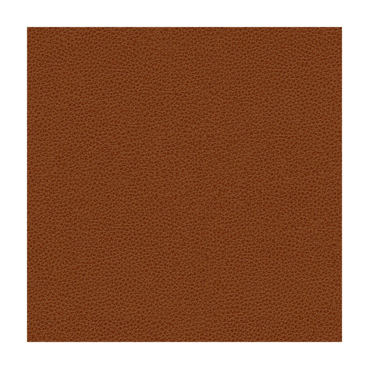 Rigel-24 by Kravet Design Designer Fabric POLY VINYL CHLORIDE - 100% Taiwan HEAVY Horizontal: and Vertical: 54 - Swanky Fabrics -