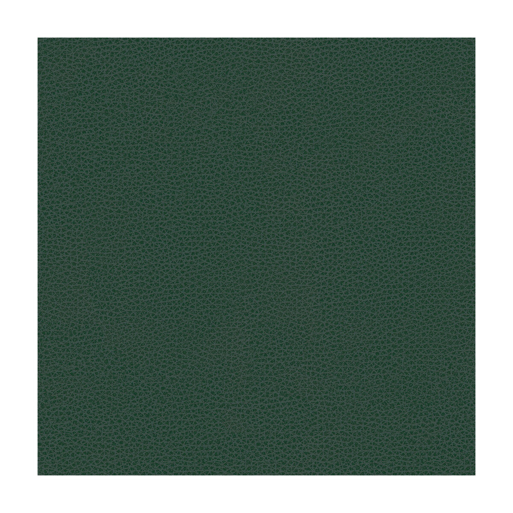 Rigel-5 by Kravet Design Designer Fabric POLY VINYL CHLORIDE - 100% Taiwan HEAVY Horizontal: and Vertical: 54 - Swanky Fabrics -