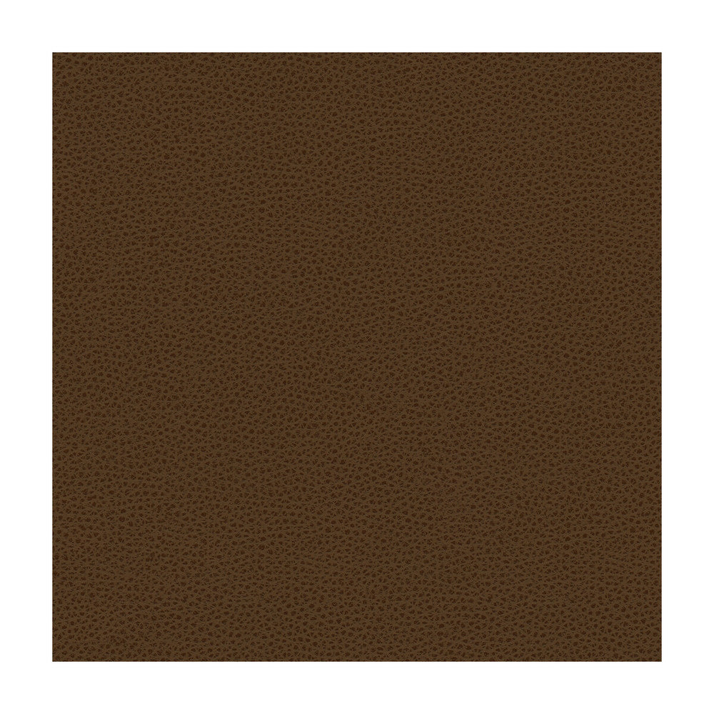 Rigel-6 by Kravet Design Designer Fabric POLY VINYL CHLORIDE - 100% Taiwan HEAVY Horizontal: and Vertical: 54 - Swanky Fabrics -